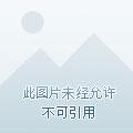 至尊武灵h文
