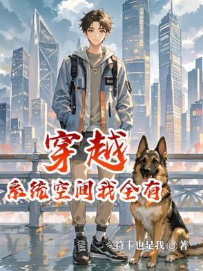 穿越自带空间系统的