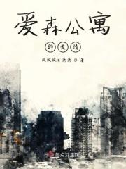 爱情公寓sf
